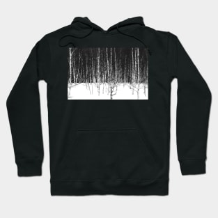 Winter Birch Forest Hoodie